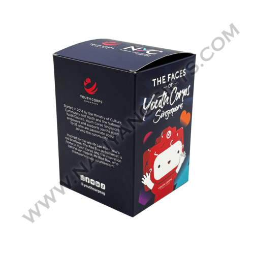 keychain plush toy_youth corp_nanyanggifts