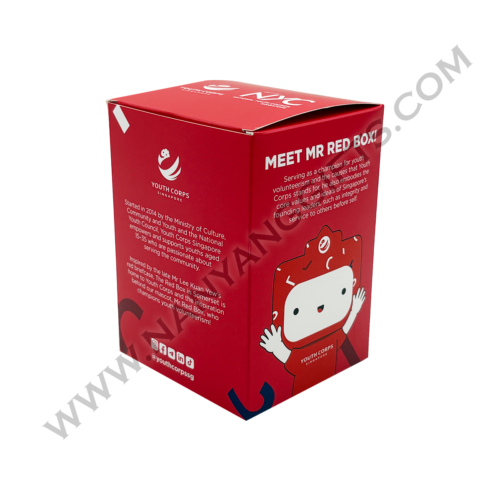 keychain plush toy_youth corp_nanyanggifts