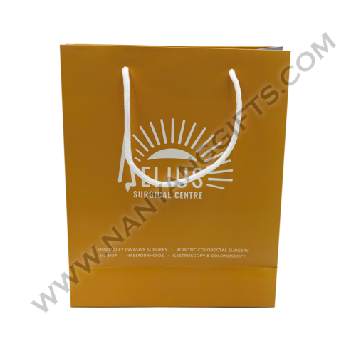 Paperbag_Aelius Surgical Centre_nanyanggifts