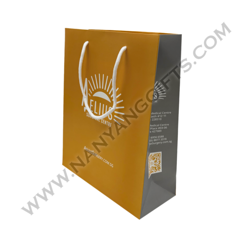 Paperbag_Aelius Surgical Centre_nanyanggifts