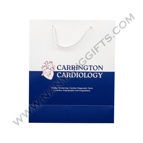 Paperbag_Aelius Surgical Centre_nanyanggifts
