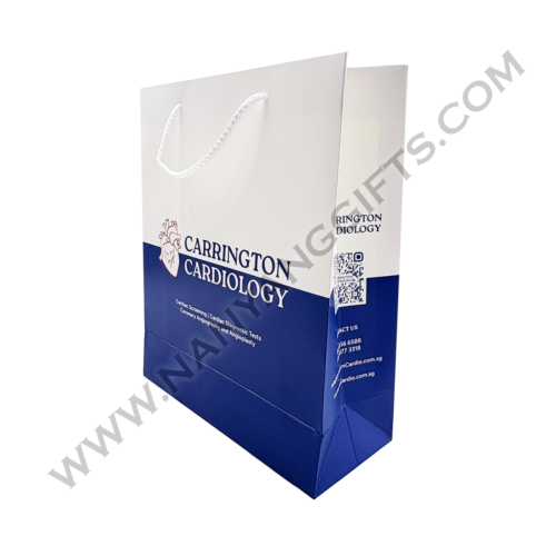 Paperbag_Aelius Surgical Centre_nanyanggifts