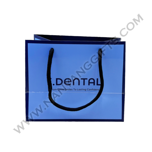 custom Paper bag supplier_idental_nanyanggifts