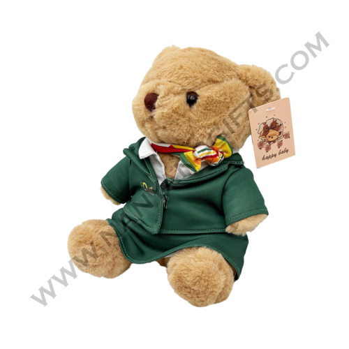 custom bear plush_Air planner_corporate gifts_nanyanggifts