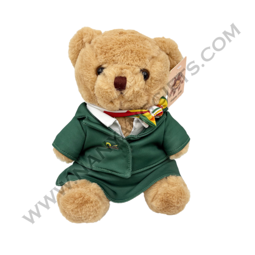 custom bear plush_Air planner_corporate gifts_nanyanggifts