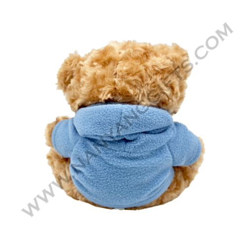 custom bear plush_google singapore_nanyanggifts