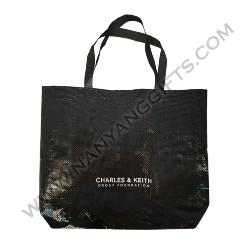 pp bags_Charles and keith_nanyanggifts