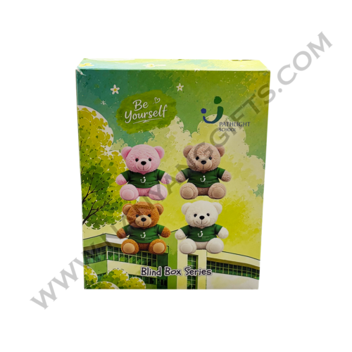 blind box_keychain plush toy_pathlight school_corporate gifts