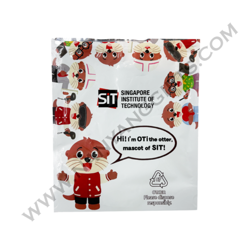plush keychain_Singapore Institute of Technology_blind box_nanyanggifts