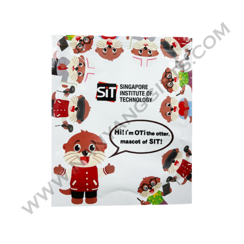 plush keychain_Singapore Institute of Technology_blind box_nanyanggifts