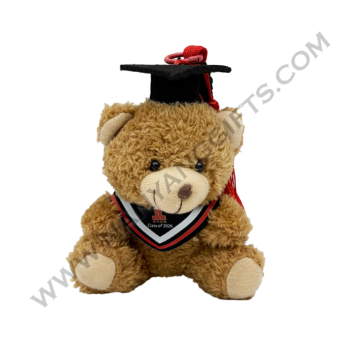 graduation bear keychain_blind box_manjusri secondary school_nanyanggifts