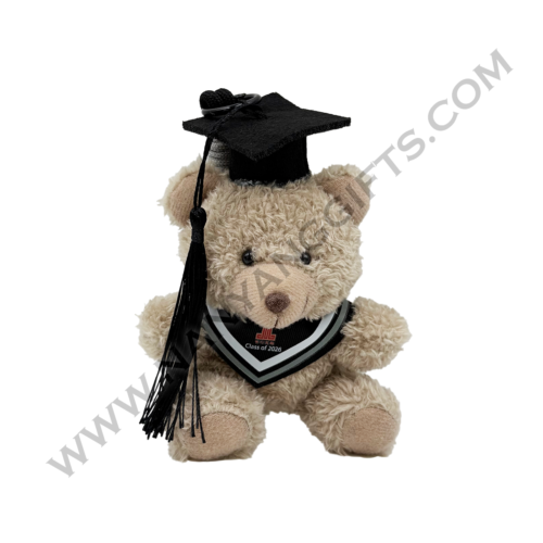 graduation bear keychain_blind box_manjusri secondary school_nanyanggifts