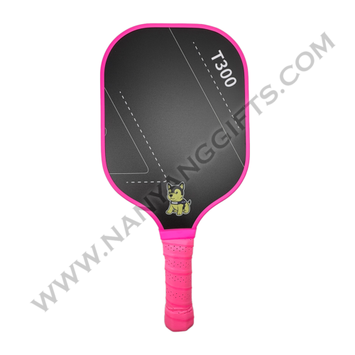 pickle ball set_hometeam_nanyanggifts
