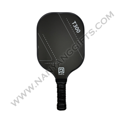 pickle ball set_pand ai_corporate gifts_nanyanggifts