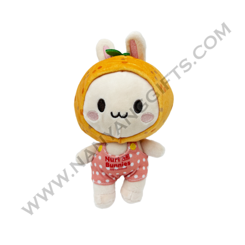 Customise 2 in 1 Plushie Nylon Tote Bag with blind box_The face shop_nanyanggifts