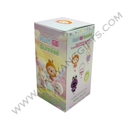 Customise 2 in 1 Plushie Nylon Tote Bag with blind box_The face shop_nanyanggifts