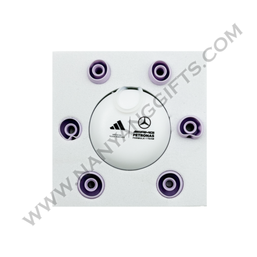 ear plug_Words Worth Media Management Pte Ltd_nanyanggifts