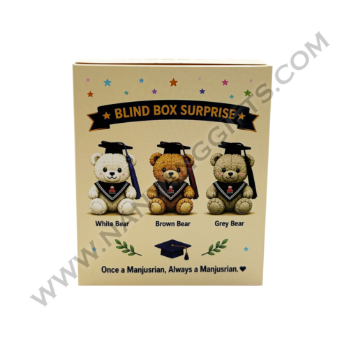graduation bear keychain_blind box_manjusri secondary school_nanyanggifts