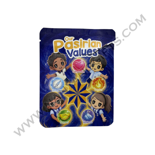 lego figurine_blind box_Pasir Ris Primary School_nanyanggifts