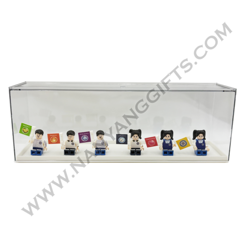 lego figurine_blind box_Pasir Ris Primary School_nanyanggifts